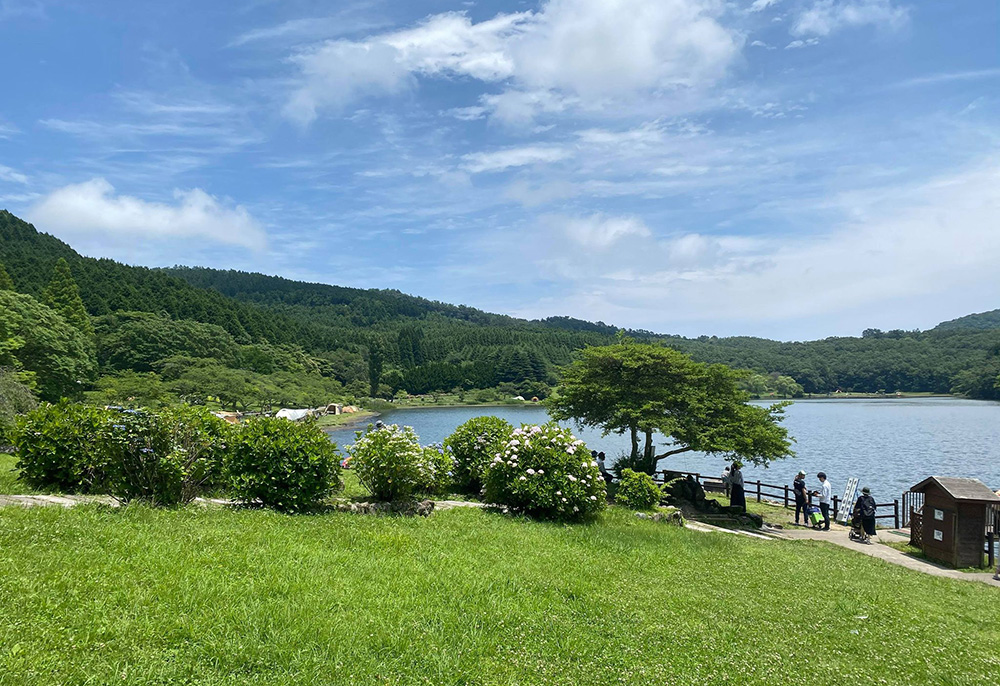 Oita နေ့ချင်းပြန်ခရီးများ- Shidaka ရေကန်