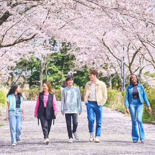 Japan Study Abroad: Your Complete Guide to Studying in Japan 