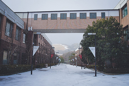 Invierno en Beppu