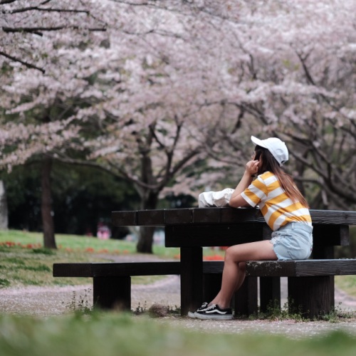 향수병에 대처하기(그리고 첫 학기의 다른 이야기들)