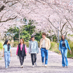 Japan Study Abroad: Your Complete Guide to Studying in Japan 