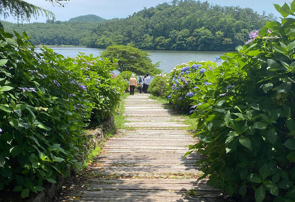 Đi bộ trên hồ Shidaka