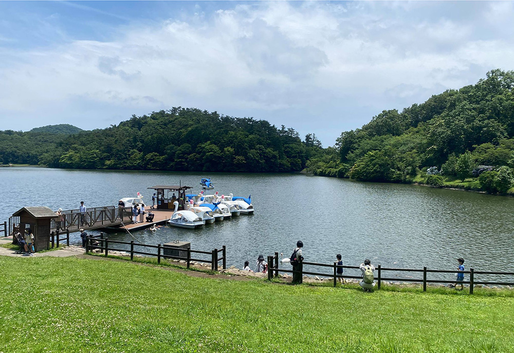 Lake Shidaka swan boats
