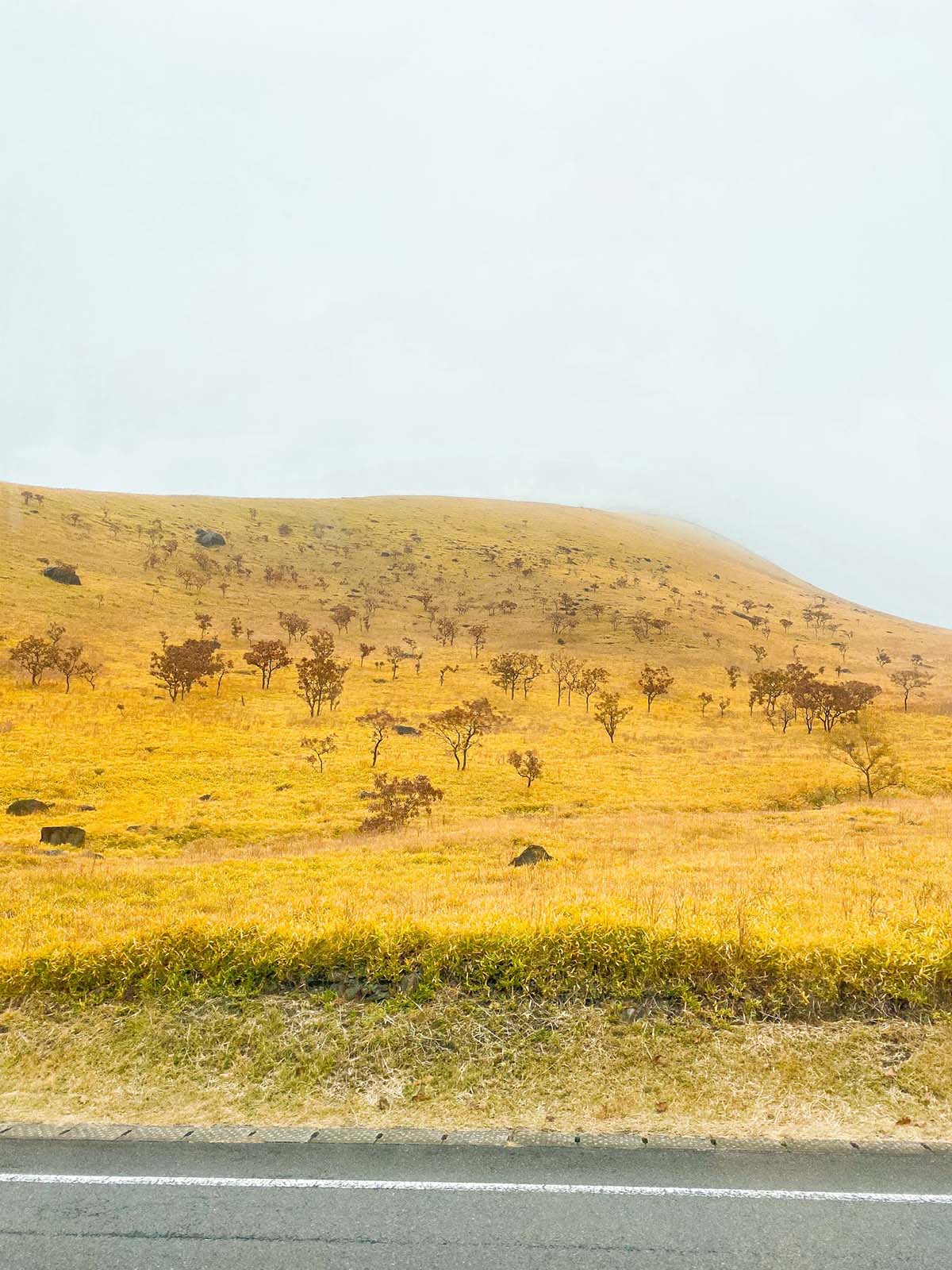 Yufuin mountain