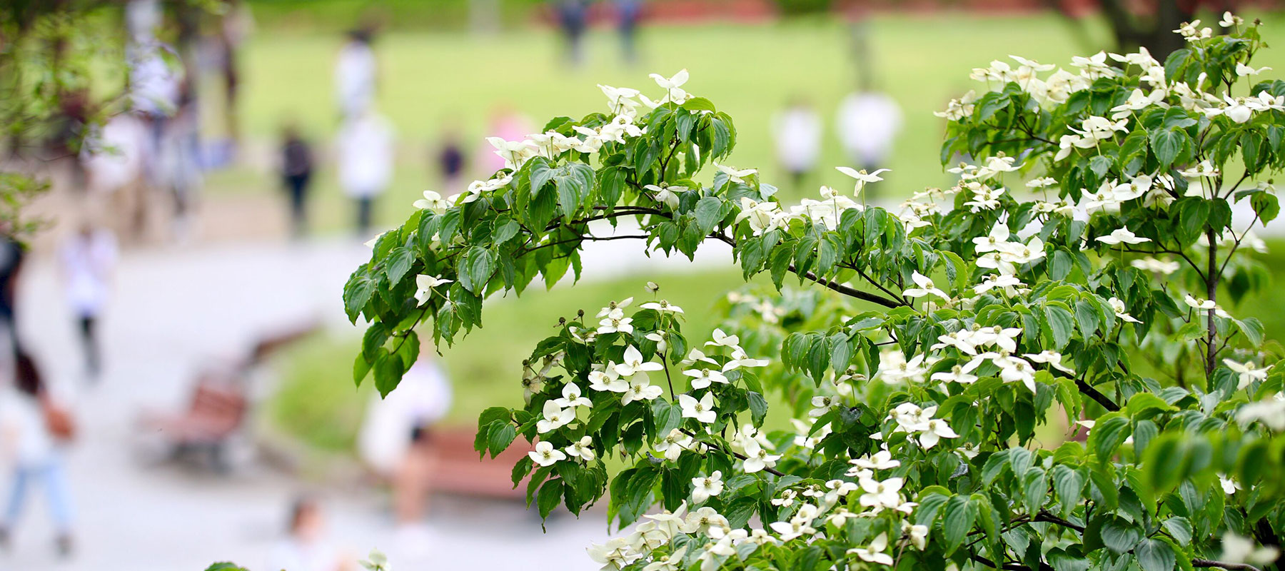APU Tuition Reduction Scholarships
