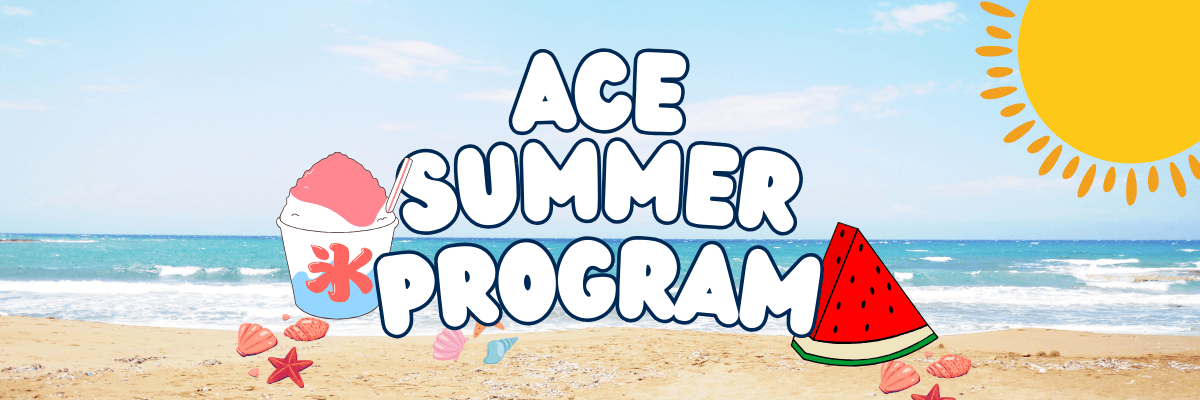 ACE 暑期项目