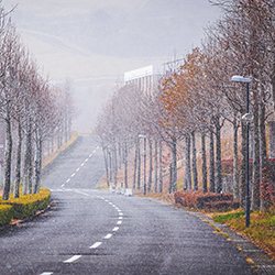 Winter in Beppu