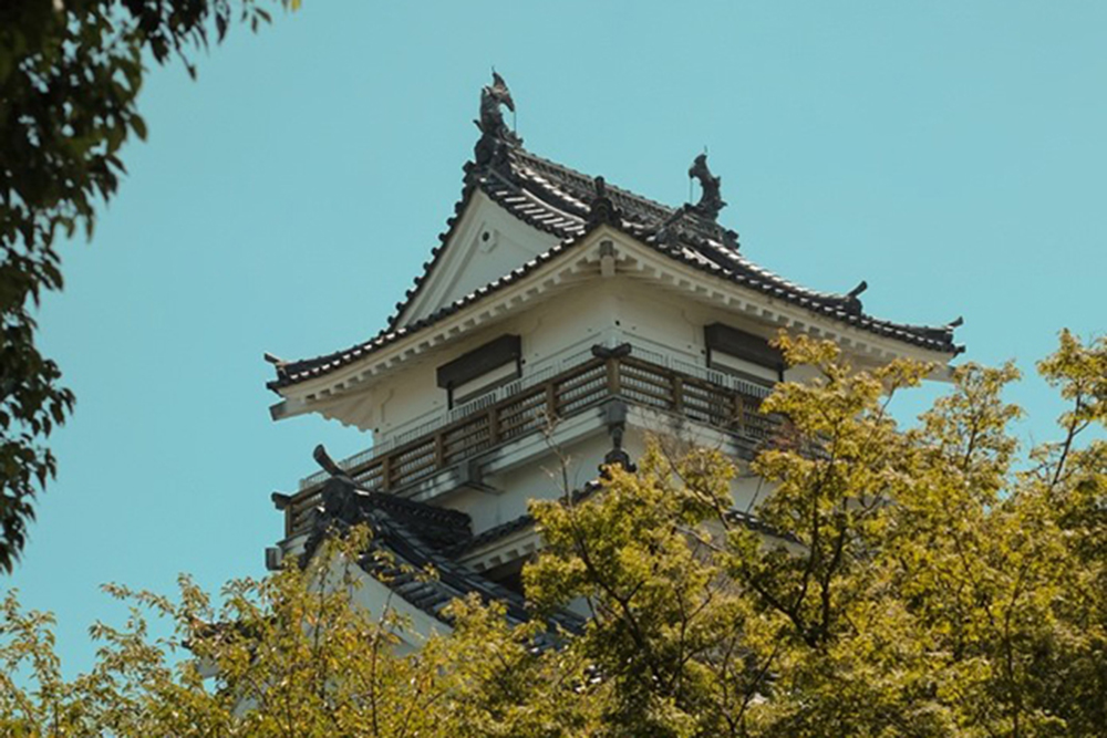 Kitsuki Castle Zoomed Out